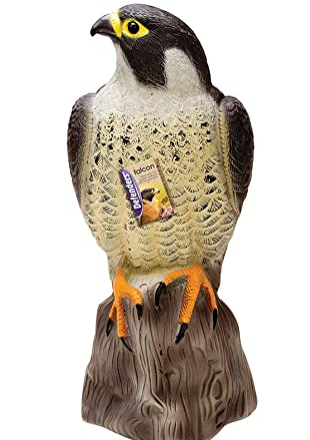Defenders Falcon, Decoy Bird Scarer, Life-like Colouring صقر المدافعين ، ديكوي بيرد المفزع تلوين يشبه الحياة