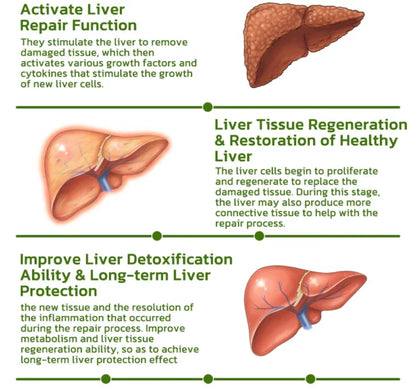 BLUESKY Liver Care Patches